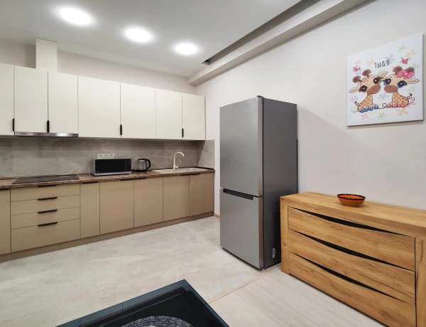 Apartment – Amiryan street, Yerevan
