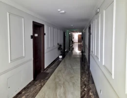 #205 Appartement – rue Hanrapetutyan, Erevan