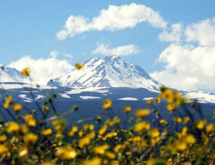 Montagna Aragats