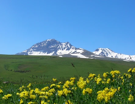 Montagna Aragats