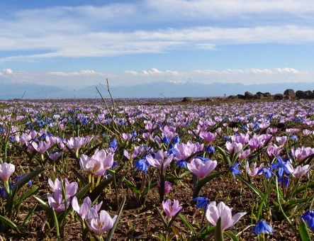 Montagna Aragats