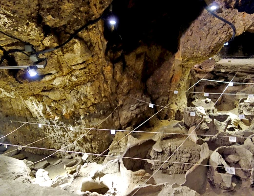 Արենի-1 (Թռչունների քարանձավ)