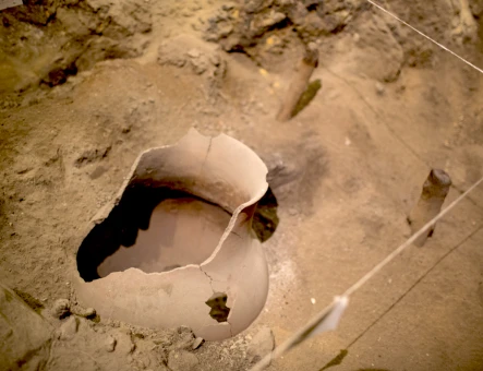 Areni-1 (Grotta degli uccelli)