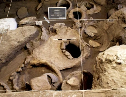 Areni-1 (Grotta degli uccelli)
