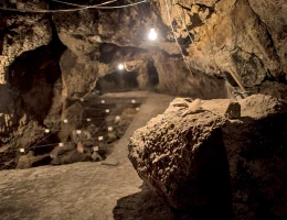 Areni-1 (Grotta degli uccelli)