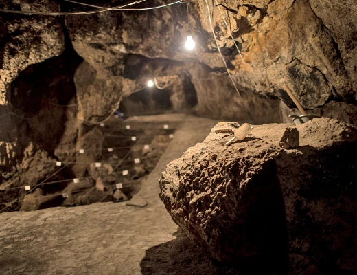 Արենի-1 (Թռչունների քարանձավ)