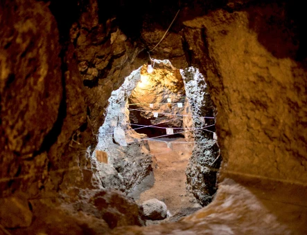 Areni-1 (Grotta degli uccelli)