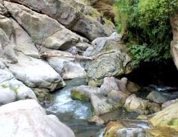 Ponte di diavolo