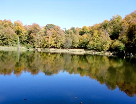 Diliján