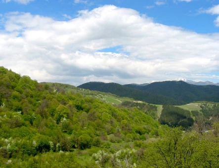 Diliján