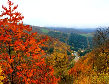 Diliján