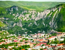 Goris