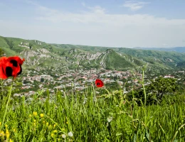 Goris
