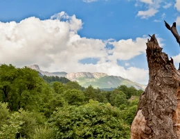Monastero Haghartsin