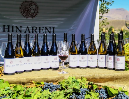 Hin Areni wine factory