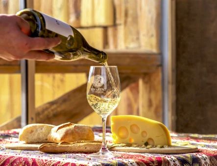 Hin Areni wine factory