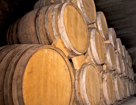 Hin Areni wine factory