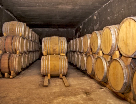 Hin Areni wine factory