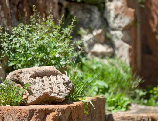 Մարմաշենի վանք