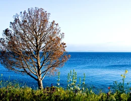 Lago Sevan