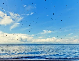 Lago Sevan