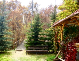 Tsakhkadzor