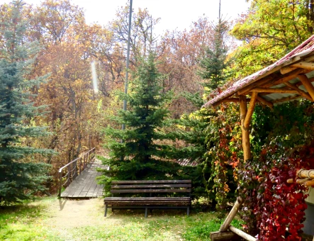 Tsakhkadzor