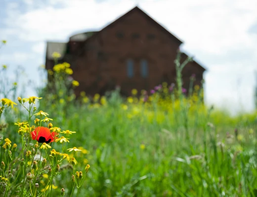 Առուճի եկեղեցի