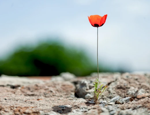 Առուճի եկեղեցի