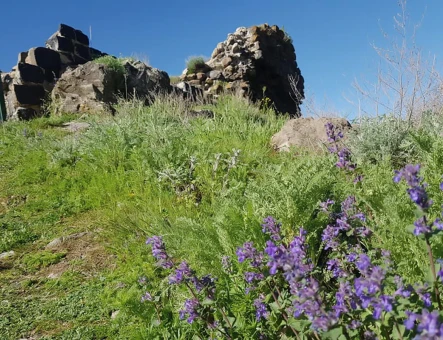 Bjni Fortress