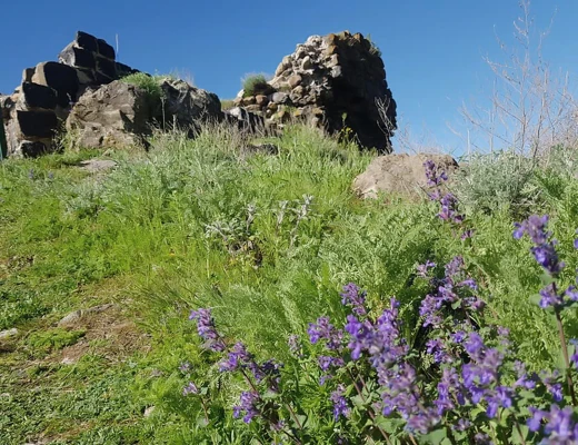 Крепость Бжни