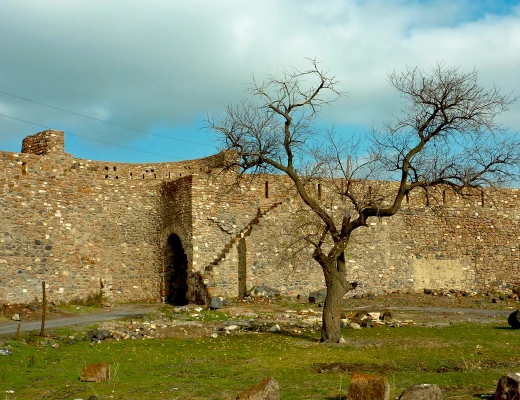 Fortaleza de Dashtadem