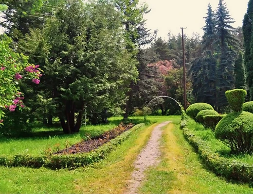 Dendropark in Stepanawan