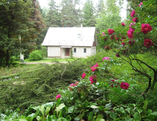 Dendropark in Stepanawan