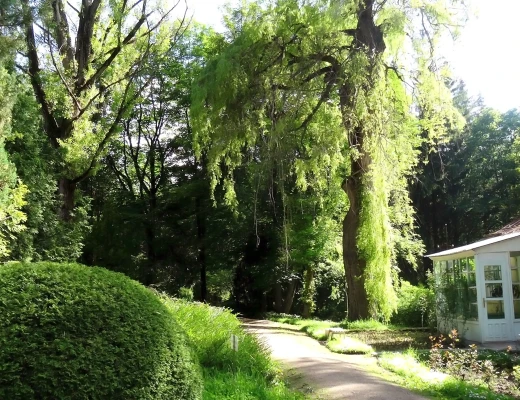 Dendropark in Stepanawan