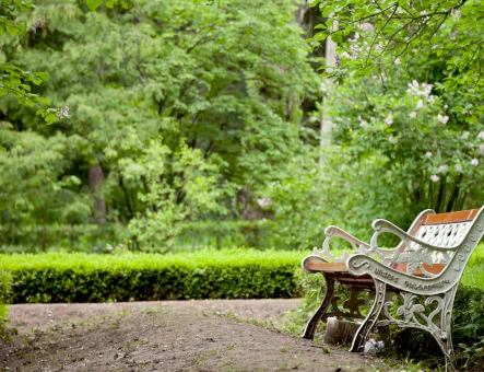 Stepanavan Dendropark
