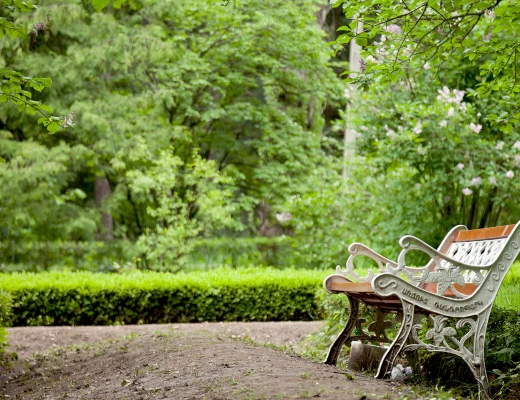 Dendropark in Stepanawan