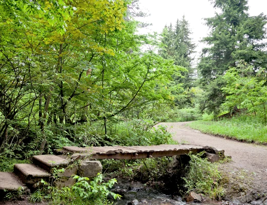 Dendropark in Stepanawan