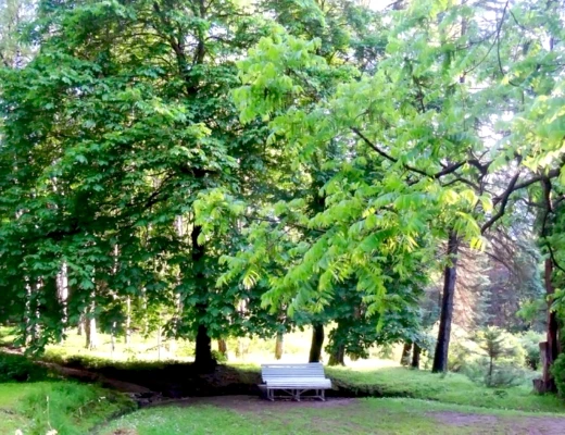 Dendropark in Stepanawan