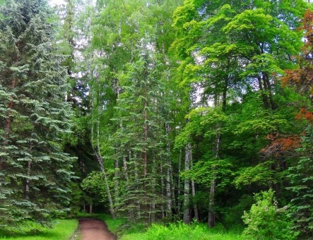 Stepanavan Dendropark