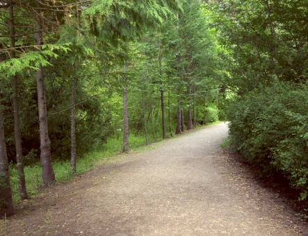 Stepanavan Dendropark