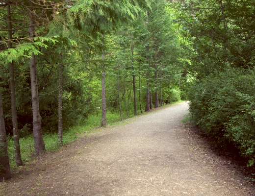 Dendropark in Stepanawan