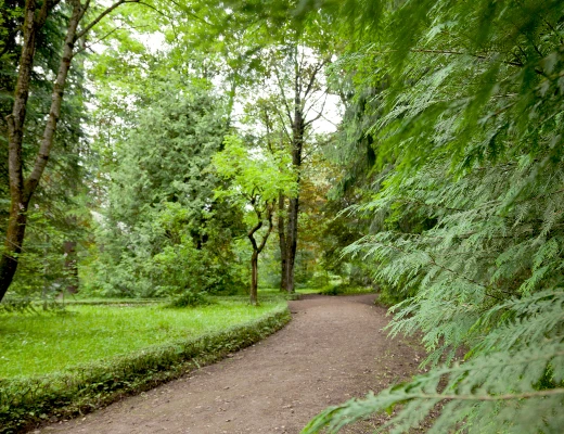 Dendropark in Stepanawan