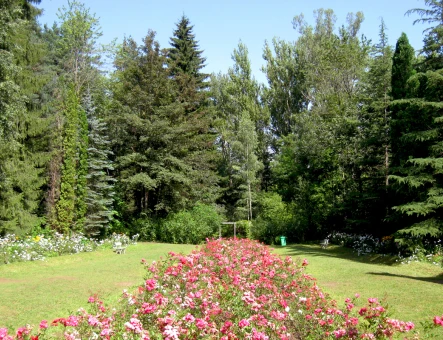 Stepanavan Dendropark