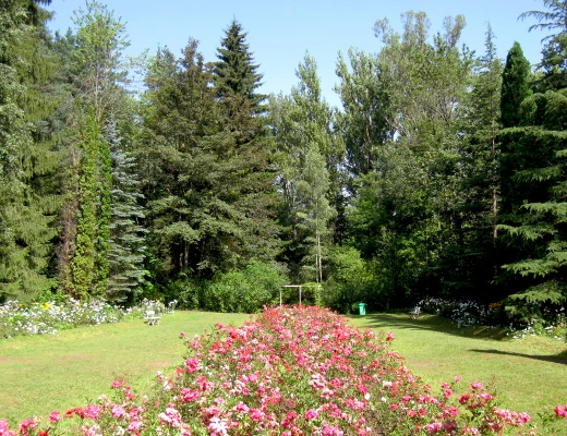 Dendropark in Stepanawan