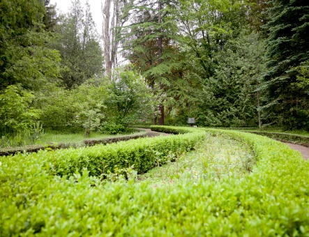 Stepanavan Dendropark