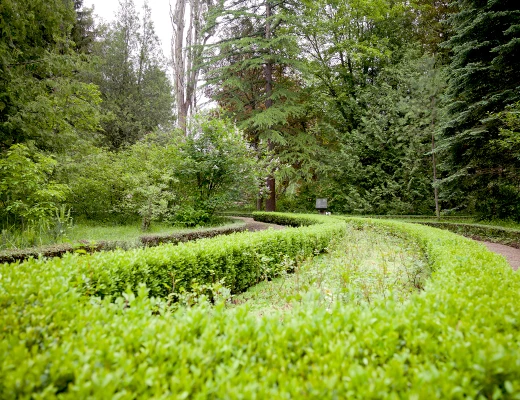 Dendropark in Stepanawan