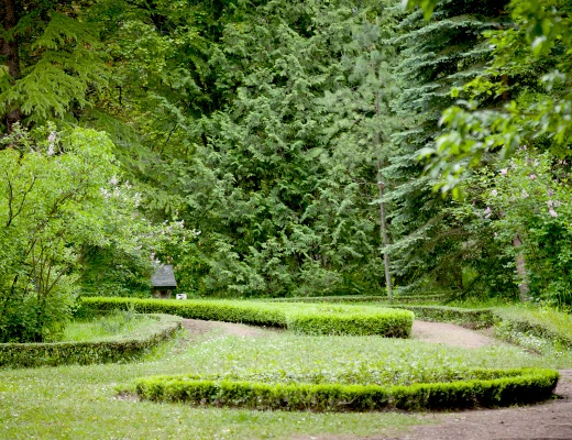 Dendropark in Stepanawan