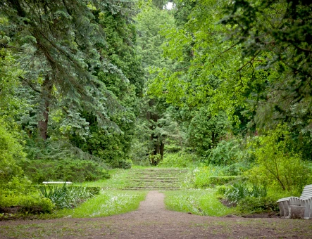 Stepanavan Dendropark
