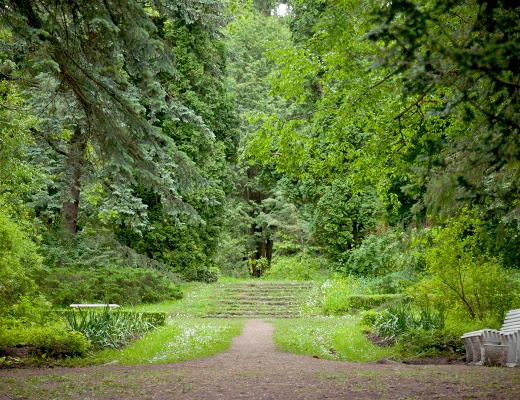 Dendropark in Stepanawan
